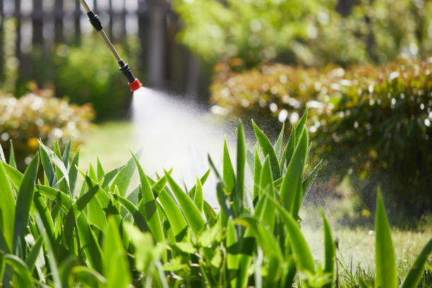 24/7 Emergency Termite Control experts in Cohoe, AK