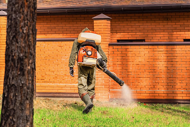 Top rated local Termite Control specialists in Cohoe, AK